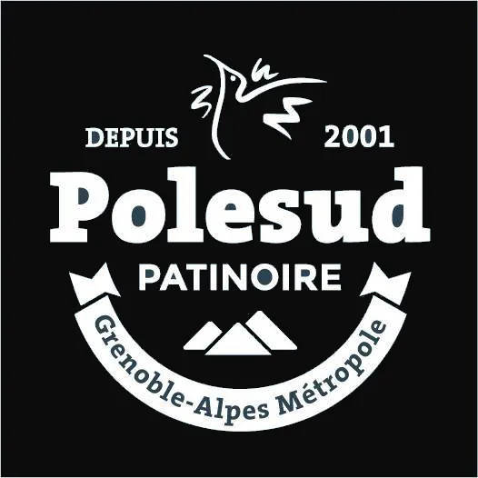 Patinoire Pole Sud